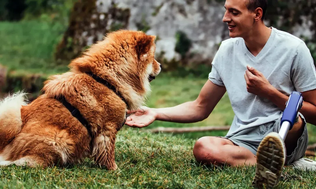 A trainer working with a dog outdoors